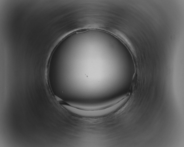 X0000088921340200706291520
