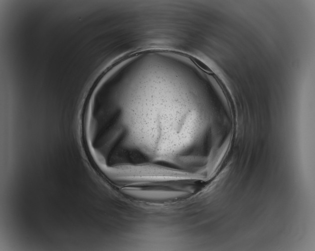 X0000088921341200706291520