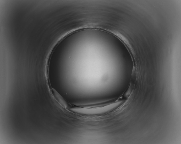 X0000088921342200706291520