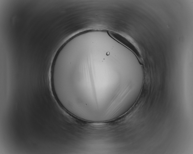 X0000088921343200706291520