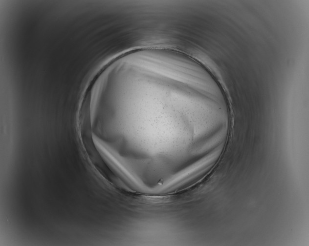 X0000088921344200706291520