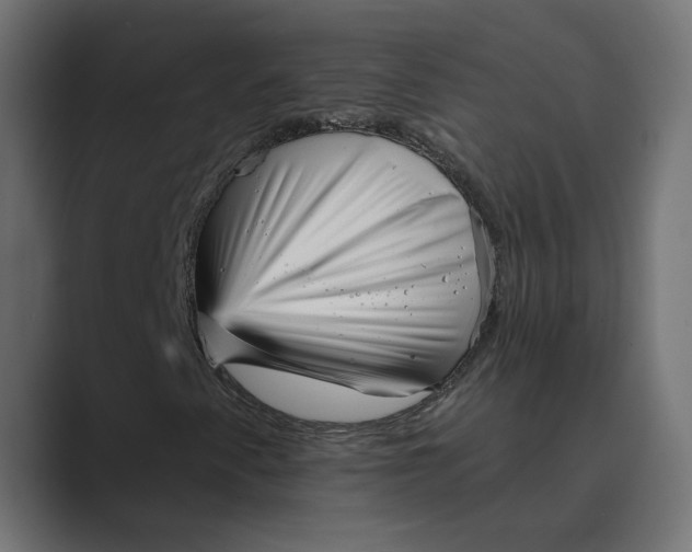 X0000088921345200706291520