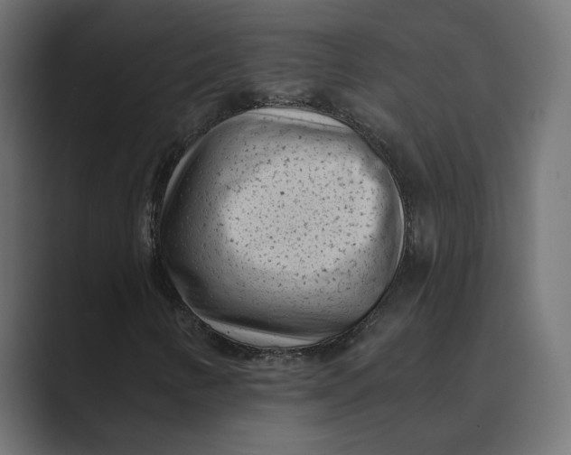 X0000088921346200706291520