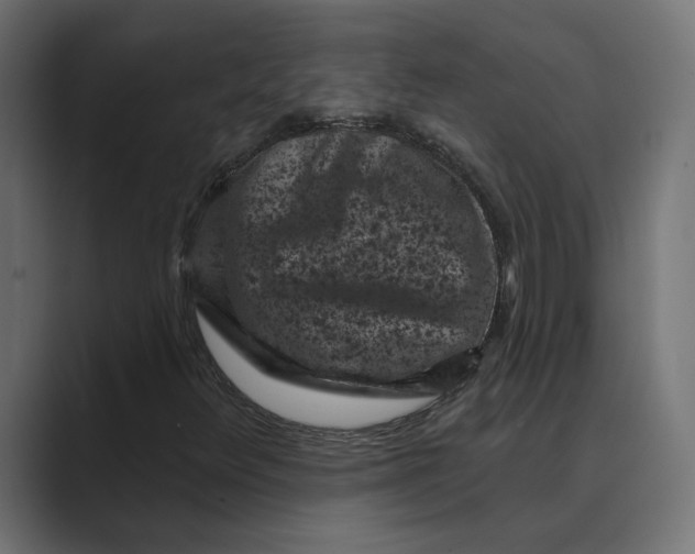 X0000088921348200706291520