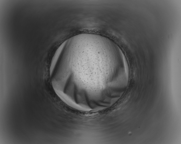 X0000088921350200706291520