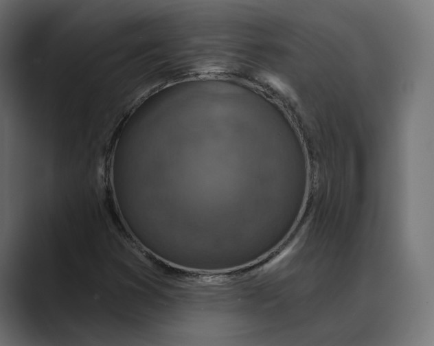 X0000088921353200706291520
