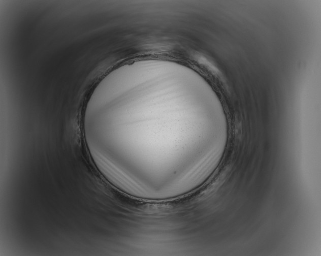 X0000088921354200706291520