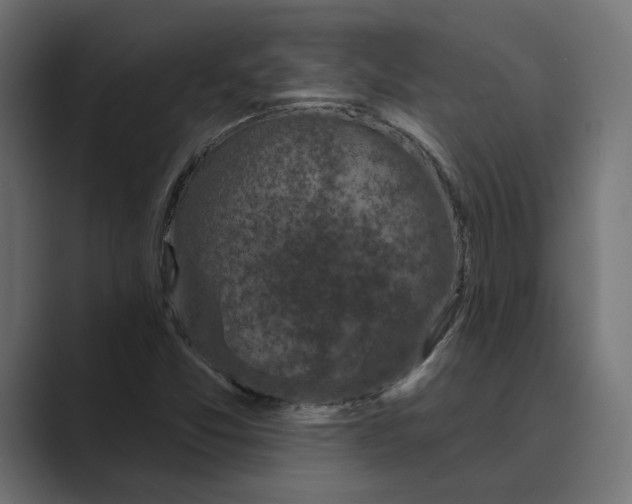 X0000088921357200706291520