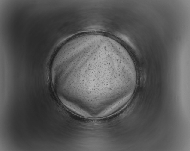 X0000088921358200706291520