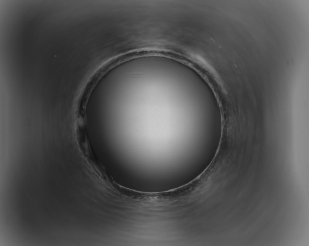 X0000088921360200706291520