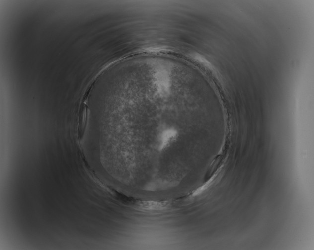 X0000088921361200706291520
