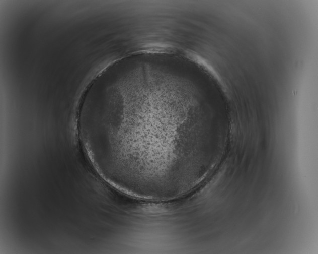 X0000088921362200706291520