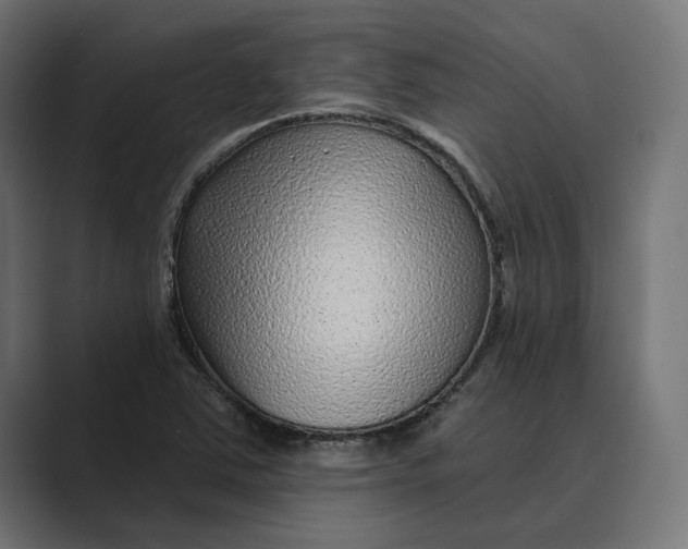 X0000088921363200706291519