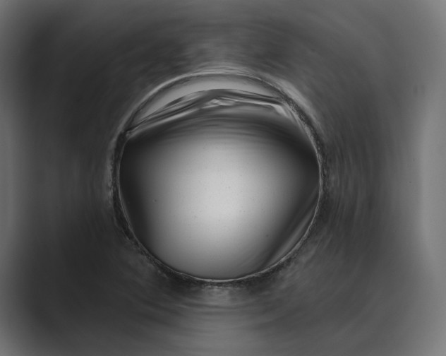 X0000088921364200706291519