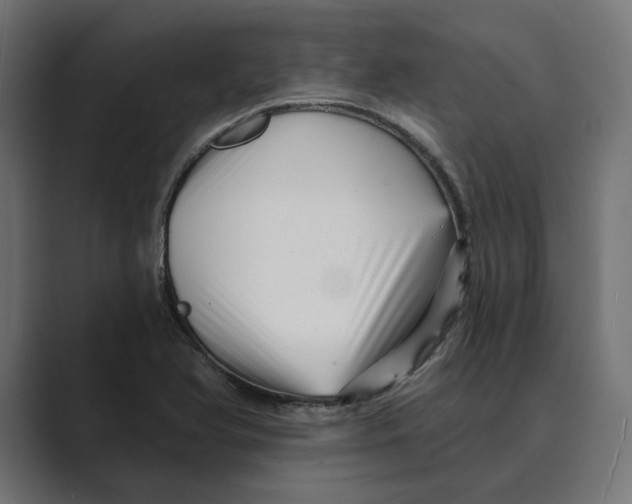 X0000088921366200706291519