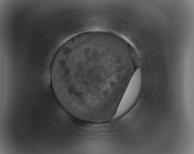 X0000088921367200706291519