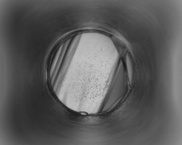 X0000088921368200706291519