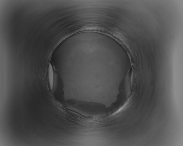 X0000088921369200706291519