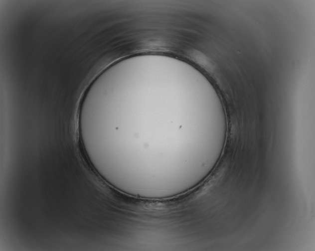 X0000088921370200706291519