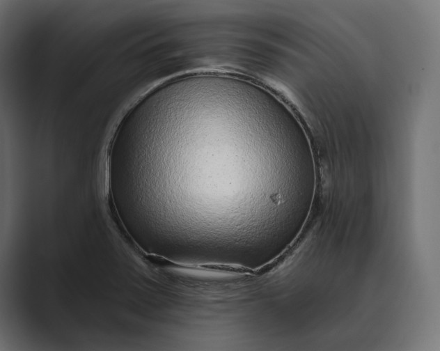 X0000088921371200706291519