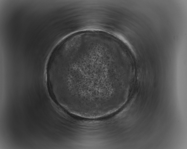 X0000088921372200706291519