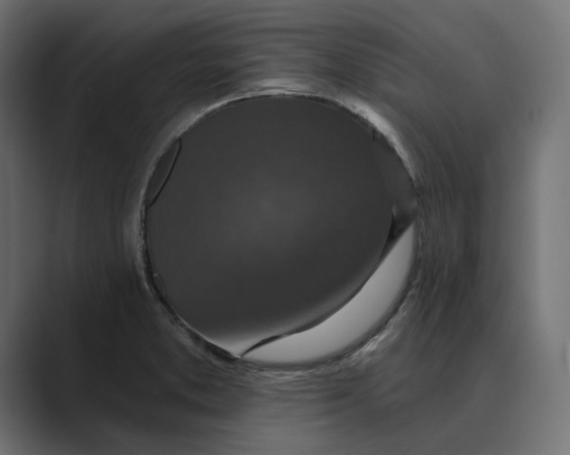 X0000088921373200706291519