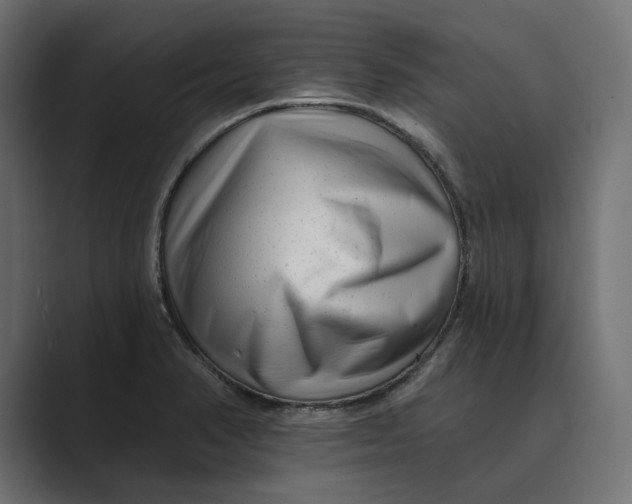 X0000088921374200706291519