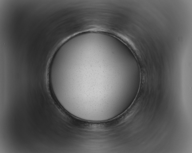 X0000088921375200706291519