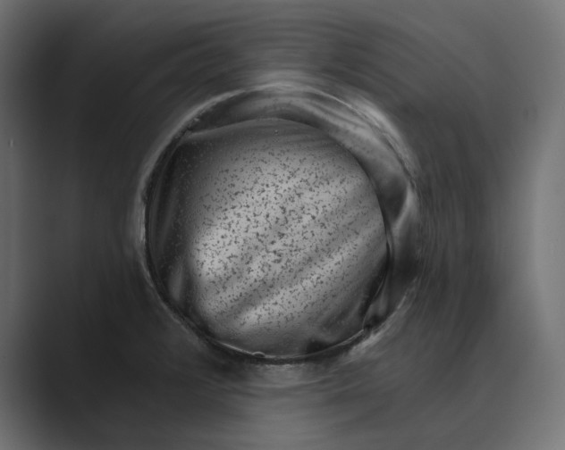 X0000088921376200706291519