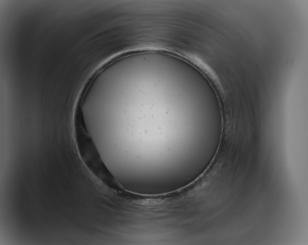 X0000088921380200706291519