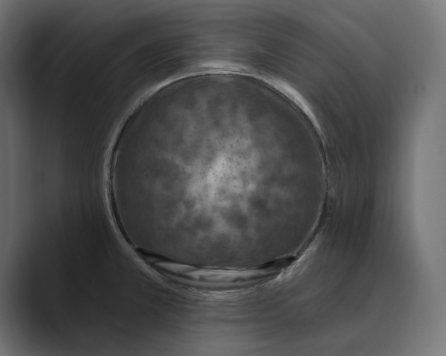 X0000088921381200706291519