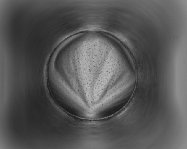 X0000088921382200706291519