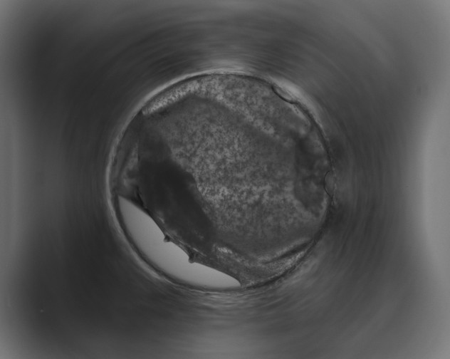 X0000088921383200706291519