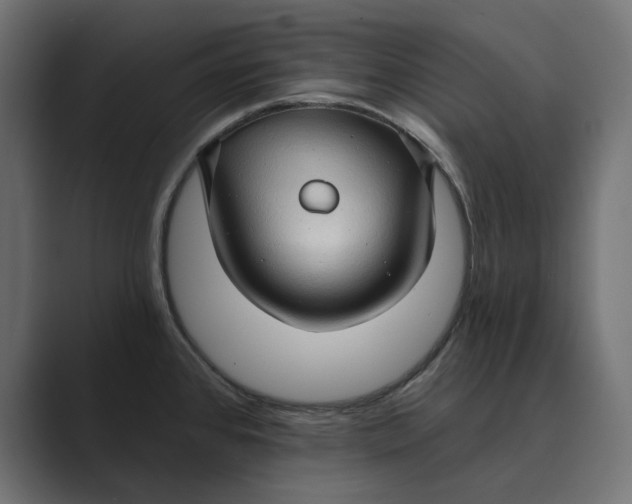 X0000088921384200706291519