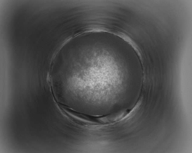 X0000088921385200706291519
