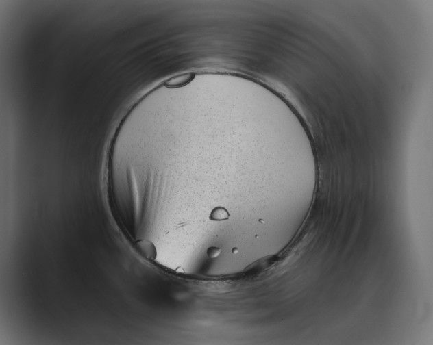 X0000088921387200706291519