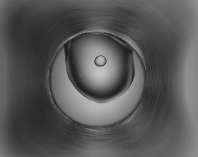 X0000088921388200706291519