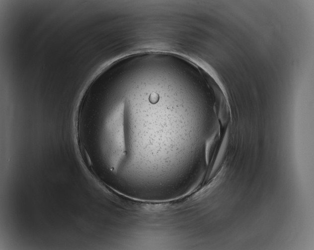 X0000088921389200706291519