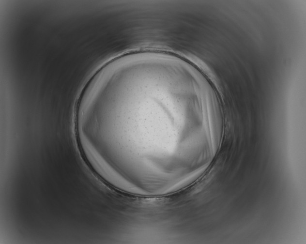 X0000088921390200706291519