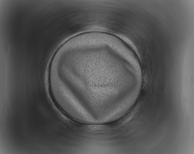 X0000088921391200706291519