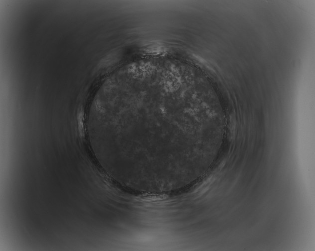 X0000088921394200706291519