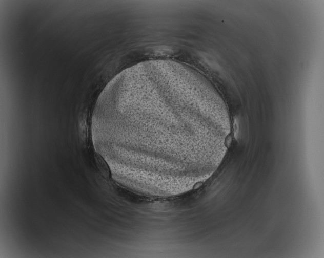 X0000088921395200706291519