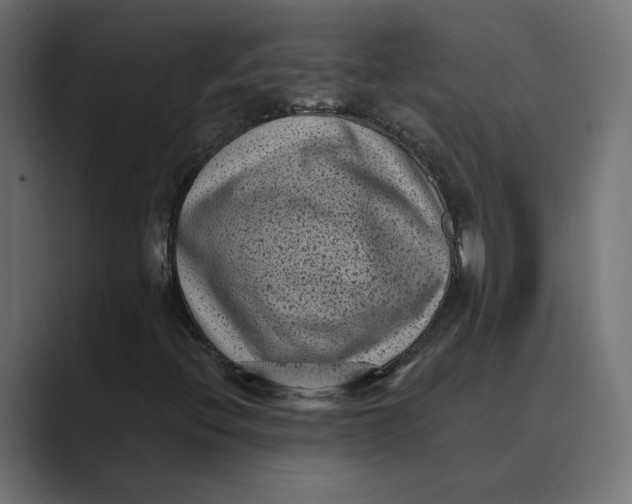 X0000088921396200706291519