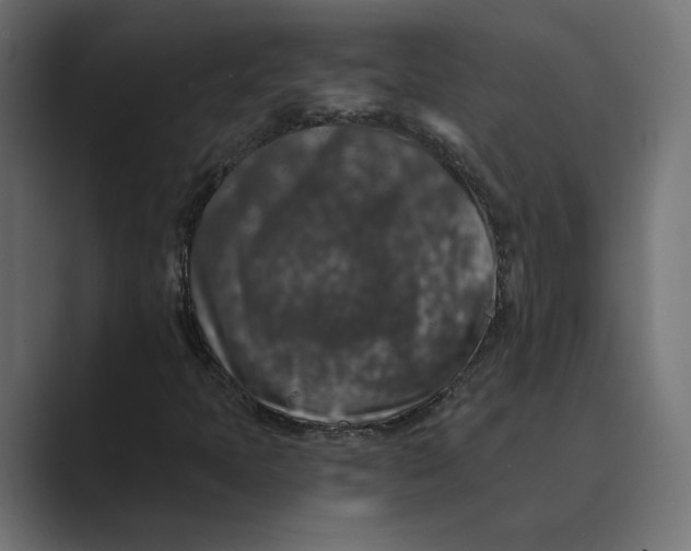 X0000088921397200706291519