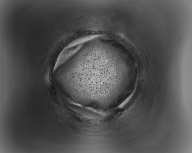 X0000088921398200706291519