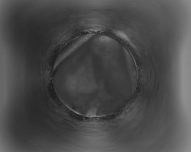 X0000088921399200706291519