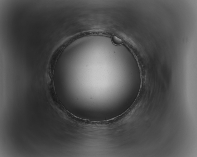 X0000088921400200706291519