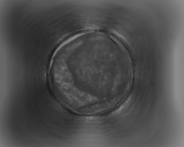 X0000088921401200706291519