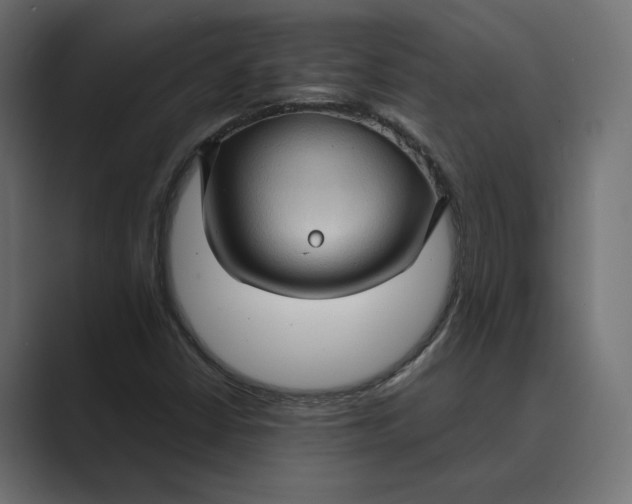 X0000088921402200706291519