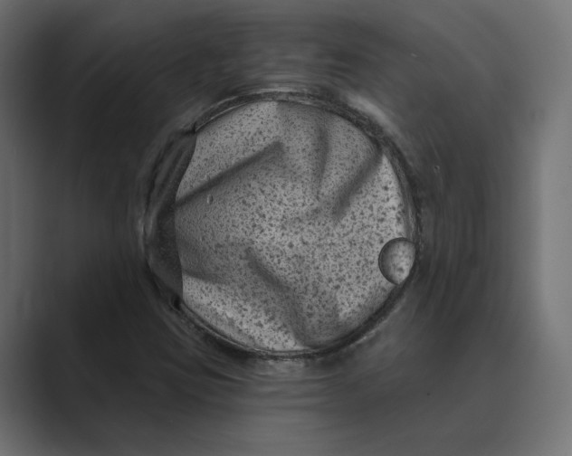 X0000088921403200706291519